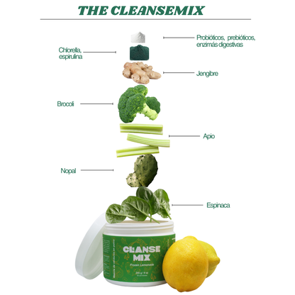 Bote Frozen Lemonade